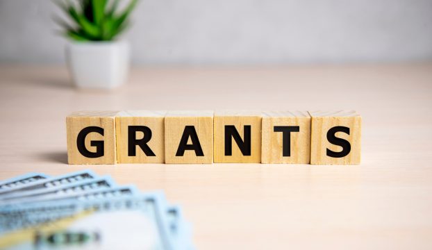 Overview of grants